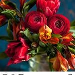 shugaring.taldykorgan