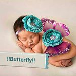 butterfly_adem