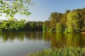 Отдых в «Месте прудов»