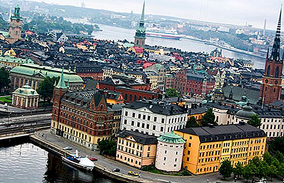 Швецияның білім беру жүйесі