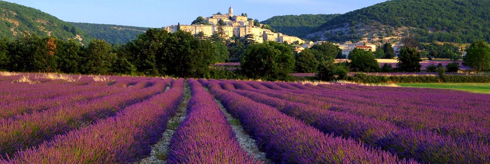 Турецкая деревня, заполненная лавандой, и это так же волшебно, как вы можете себе представить.