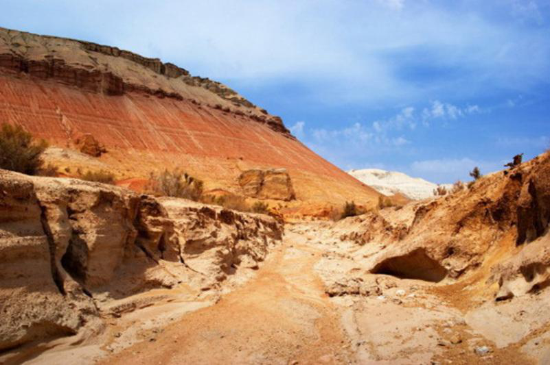 THE CONCEPT FOR THE DEVELOPMENT OF THE ALTYN-EMEL NATIONAL PARK WAS PRESENTED BY THE MINISTRY OF ECOLOGY