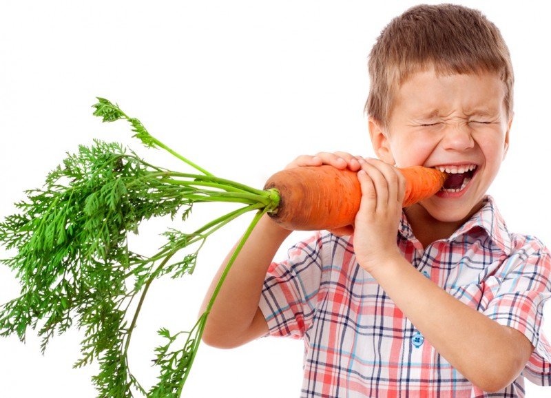 Healthy food rules for children and adults