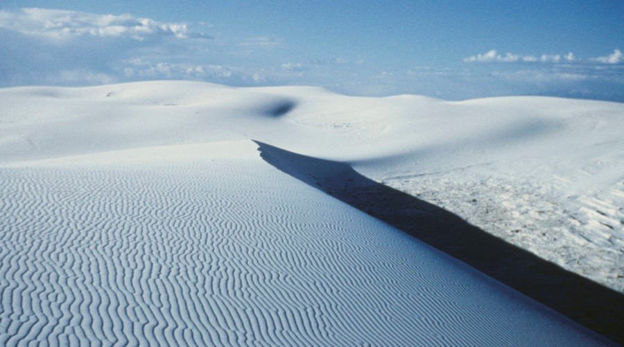 Катание на санках с песком, Цветы Пустыни и Ливни Персеиды: Все Прекрасные Сюрреалистические вещи, которые можно сделать в Национальном парке Уайт-Сэндс