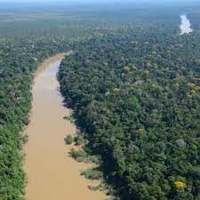 Жители Амазонки жили устойчиво в течение 5000 лет.