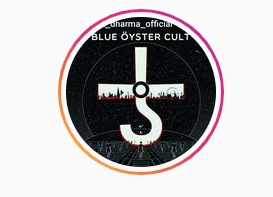 light_force_photography