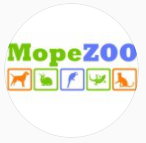 _morezoo_