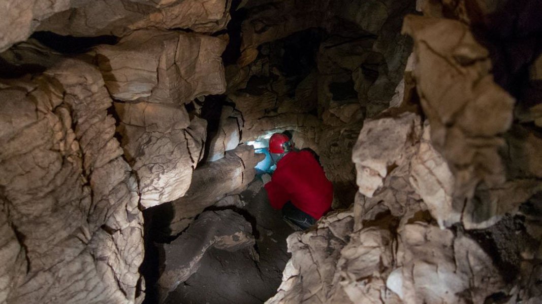 Новая Зеландия: подросток пропал в пещерах аббатства во время наводнения в Окленде