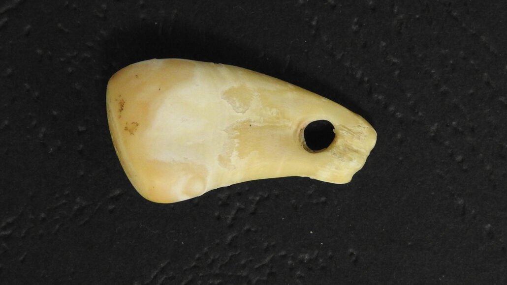 Древняя человеческая ДНК была извлечена из кулона из  оленьего зуба возрастом 20 000 лет