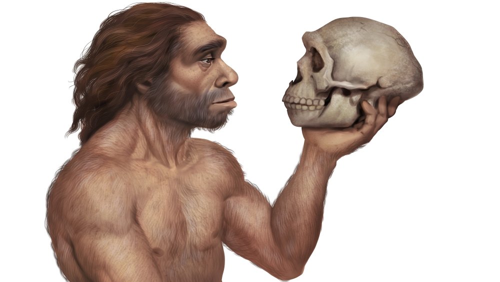 Люди и неандертальцы могли жить вместе даже раньше,  чем мы думали